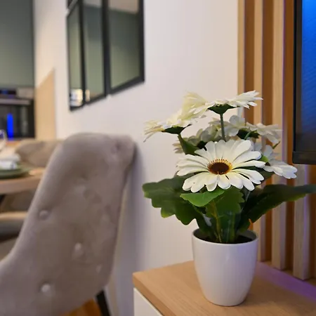 Luxury Hills Spa&wellness Ζλάτιμπορ