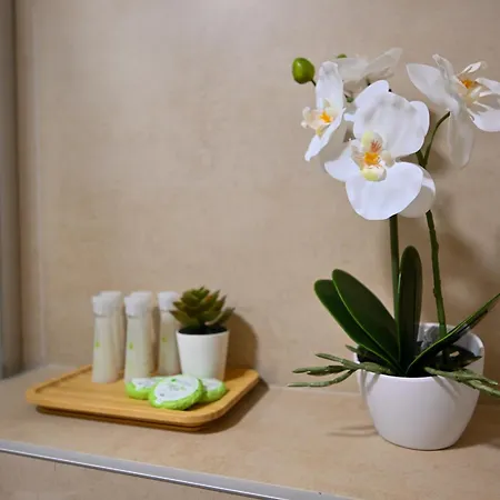 Luxury Hills Spa&wellness