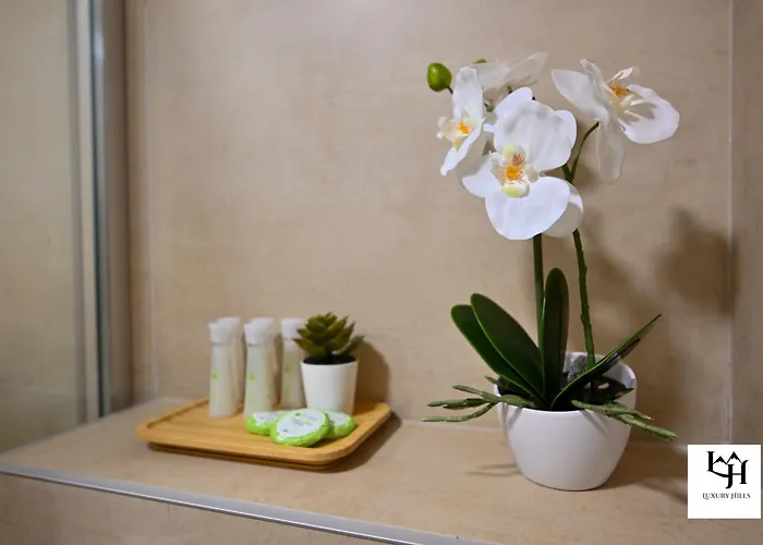 Luxury Hills Spa&wellness